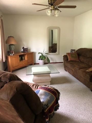 449 N Champaign St, Bement, IL 61813 photo 3