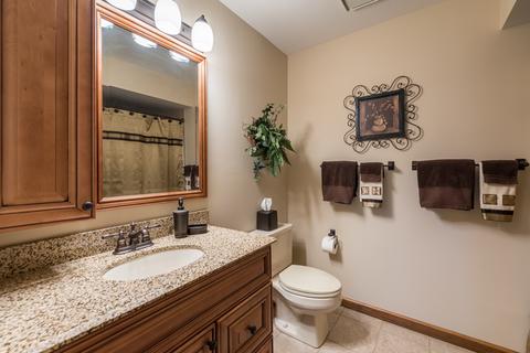 1579 Stonebridge Trl, Wheaton, IL 60187 photo 21