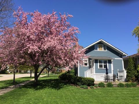 101 E Pine Ave, Roselle, IL 60172 photo 1