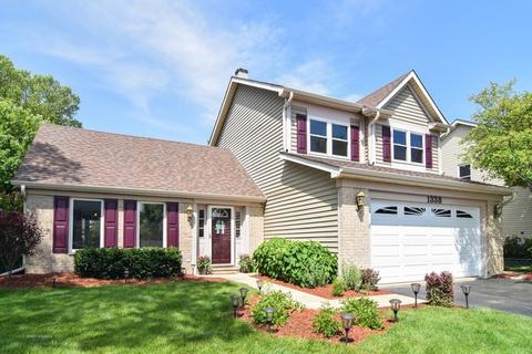 1338 Paddock Pl, Bartlett, IL 60103 photo 1