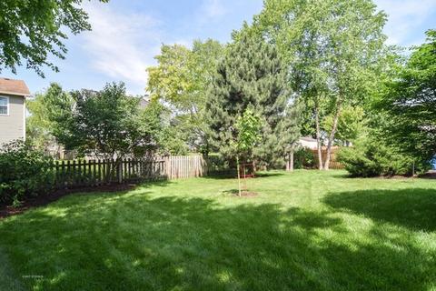 1338 Paddock Pl, Bartlett, IL 60103 photo 16