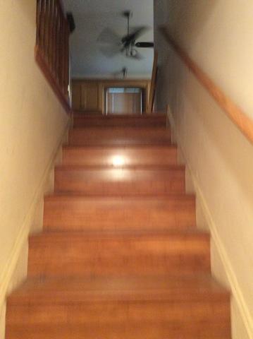 3237 Bramanti Trl, Steger, IL 60475 photo 54