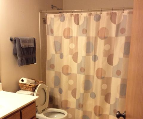 3237 Bramanti Trl, Steger, IL 60475 photo 20