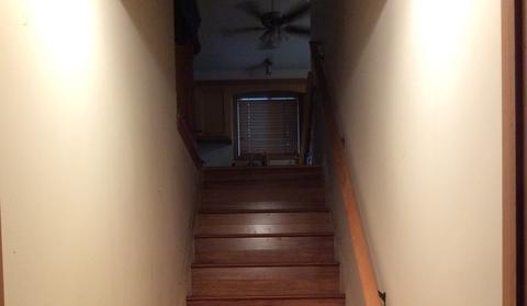 3237 Bramanti Trl, Steger, IL 60475 photo 53