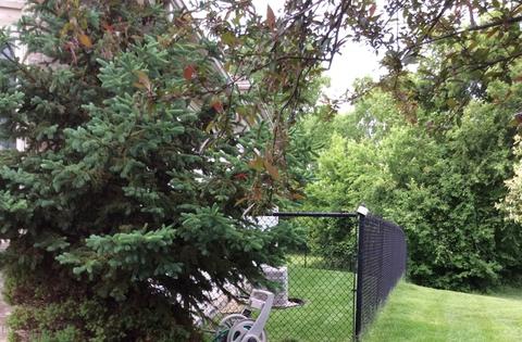 3237 Bramanti Trl, Steger, IL 60475 photo 5