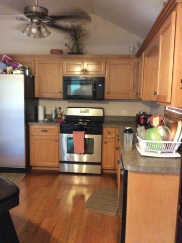 3237 Bramanti Trl, Steger, IL 60475 photo 56