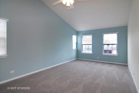 16154 S Arbor Dr, Plainfield, IL 60586 photo 10