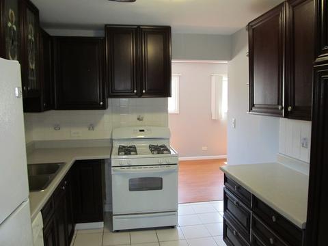 1108 Sandpiper Ct, Bartlett, IL 60103 photo 4