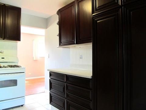1108 Sandpiper Ct, Bartlett, IL 60103 photo 5