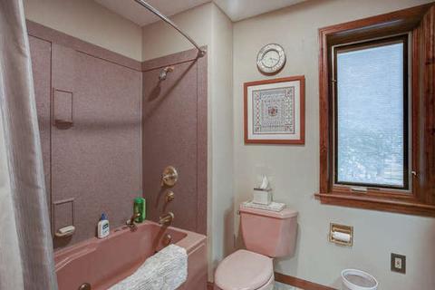 581 E Bodman St, Bement, IL 61813 photo 33