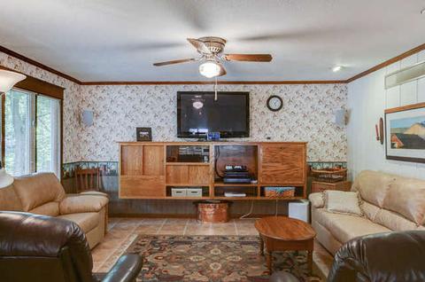 581 E Bodman St, Bement, IL 61813 photo 22