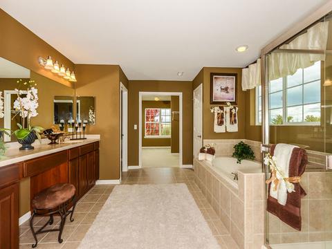 1721 White Spruce Dr, Hoffman Estates, IL 60192 photo 10