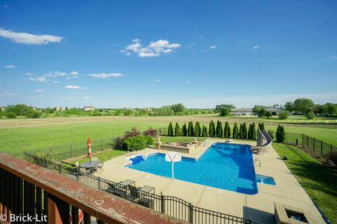 10311 W Bruns Rd, Monee, IL 60449 photo 26