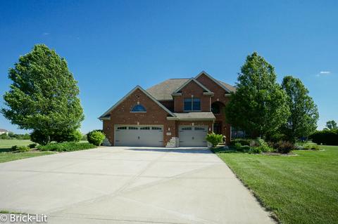 10311 W Bruns Rd, Monee, IL 60449 photo 2