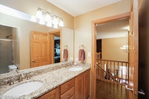 10311 W Bruns Rd, Monee, IL 60449 photo 30