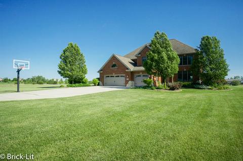 10311 W Bruns Rd, Monee, IL 60449 photo 3