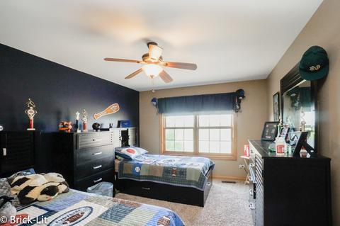 10311 W Bruns Rd, Monee, IL 60449 photo 28