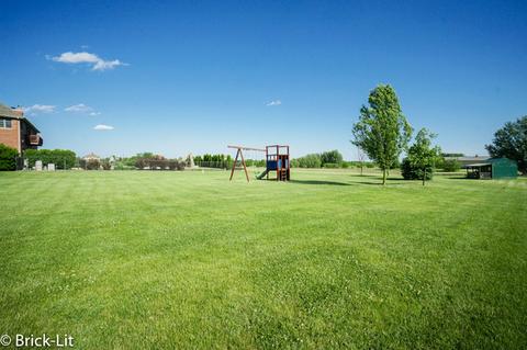 10311 W Bruns Rd, Monee, IL 60449 photo 9