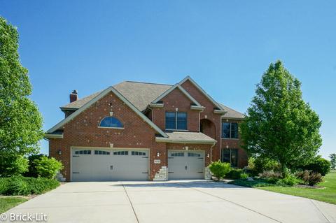10311 W Bruns Rd, Monee, IL 60449 photo 1