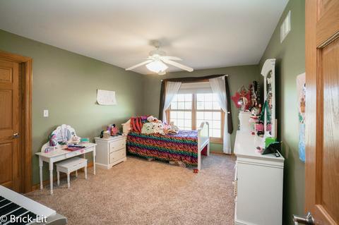 10311 W Bruns Rd, Monee, IL 60449 photo 27