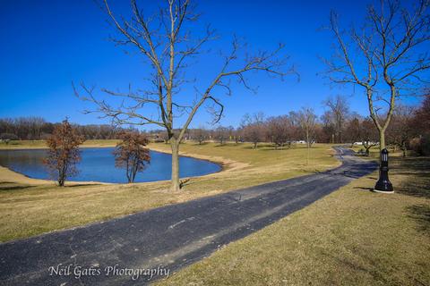 340 E Alden Dr, Addison, IL 60101 photo 4