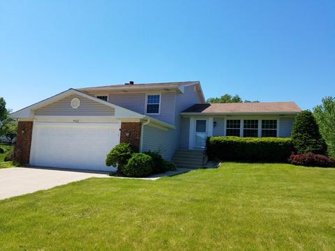 4462 Thornbark Dr, Hoffman Estates, IL 60192 photo 1