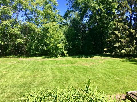 417 S Hale St, Wheaton, IL 60187 photo 17