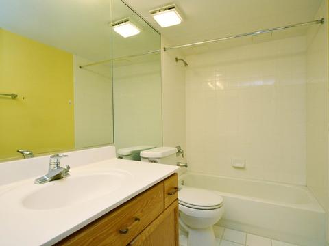 1685 Mill St #204, Des Plaines, IL 60016 photo 16