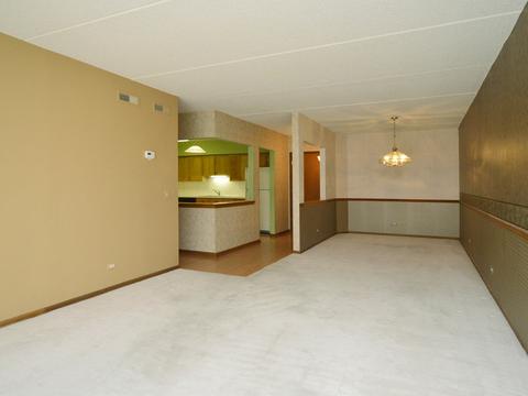 1685 Mill St #204, Des Plaines, IL 60016 photo 11