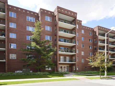 1685 Mill St #204, Des Plaines, IL 60016 photo 1