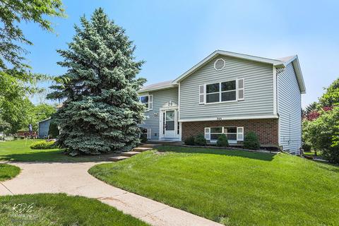 305 Persimmon Ct, Aurora, IL 60504 photo 1