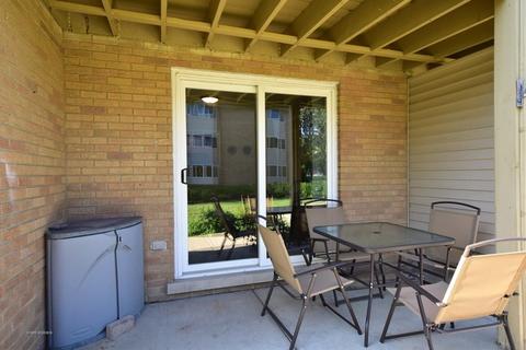 910 Beau Dr #114, Des Plaines, IL 60016 photo 18