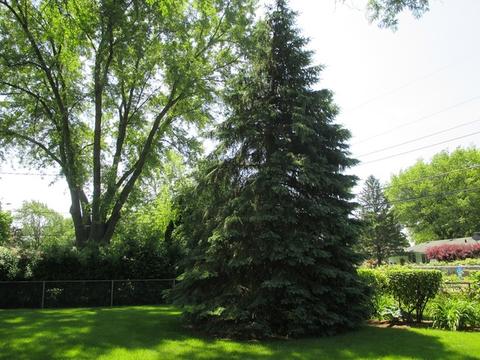 976 Diane Ave, Elgin, IL 60123 photo 19
