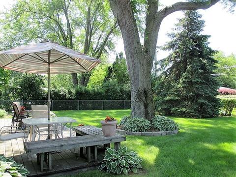 976 Diane Ave, Elgin, IL 60123 photo 17