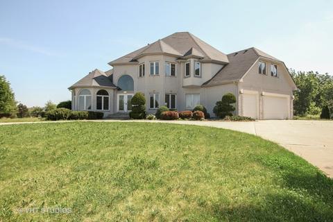 6824 W Wagner Dr, Monee, IL 60449 photo 1