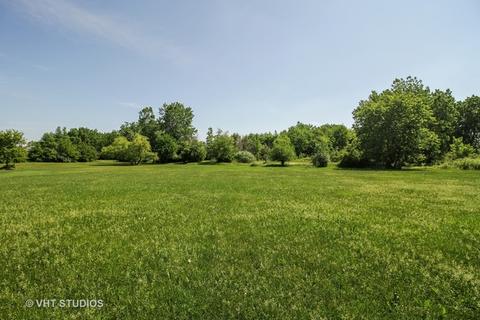 6824 W Wagner Dr, Monee, IL 60449 photo 19