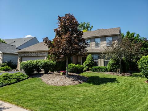 240 Dickens Trl, Elgin, IL 60120 photo 4
