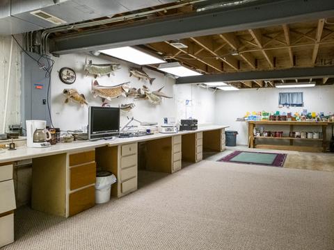 240 Dickens Trl, Elgin, IL 60120 photo 31