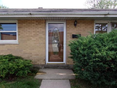 3001 Wallace Ave, Steger, IL 60475 photo 5