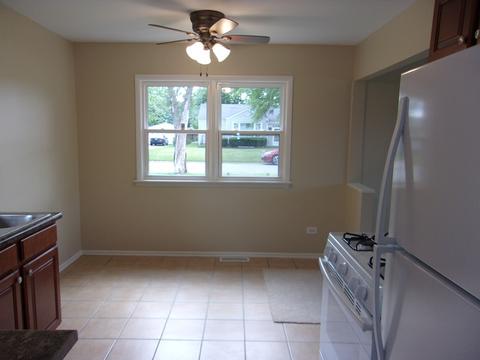 3001 Wallace Ave, Steger, IL 60475 photo 15