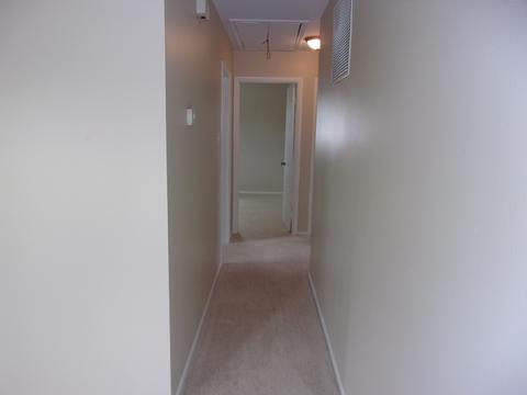 3001 Wallace Ave, Steger, IL 60475 photo 16