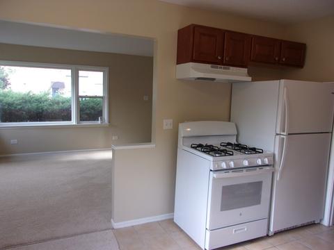 3001 Wallace Ave, Steger, IL 60475 photo 9