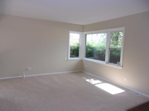3001 Wallace Ave, Steger, IL 60475 photo 8