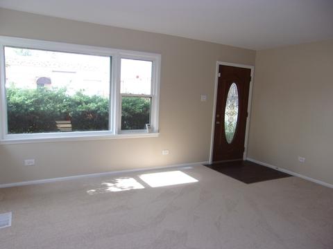 3001 Wallace Ave, Steger, IL 60475 photo 7
