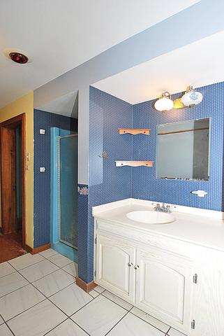 820 Mill St, Elgin, IL 60123 photo 46