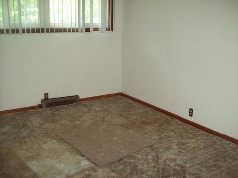 203 W Walnut St, Walnut, IL 61376 photo 10