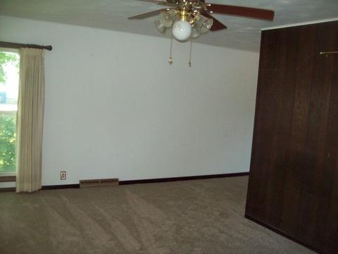 203 W Walnut St, Walnut, IL 61376 photo 5