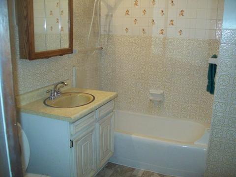 203 W Walnut St, Walnut, IL 61376 photo 8