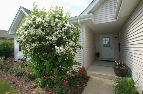 4515 Oriole Ln, Plainfield, IL 60586 photo 2