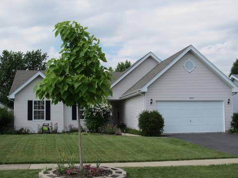 4515 Oriole Ln, Plainfield, IL 60586 photo 29